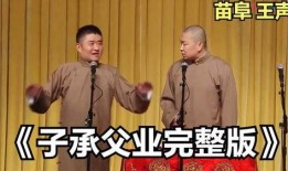 子承父业 在线观看,子承父业的故事在线观看